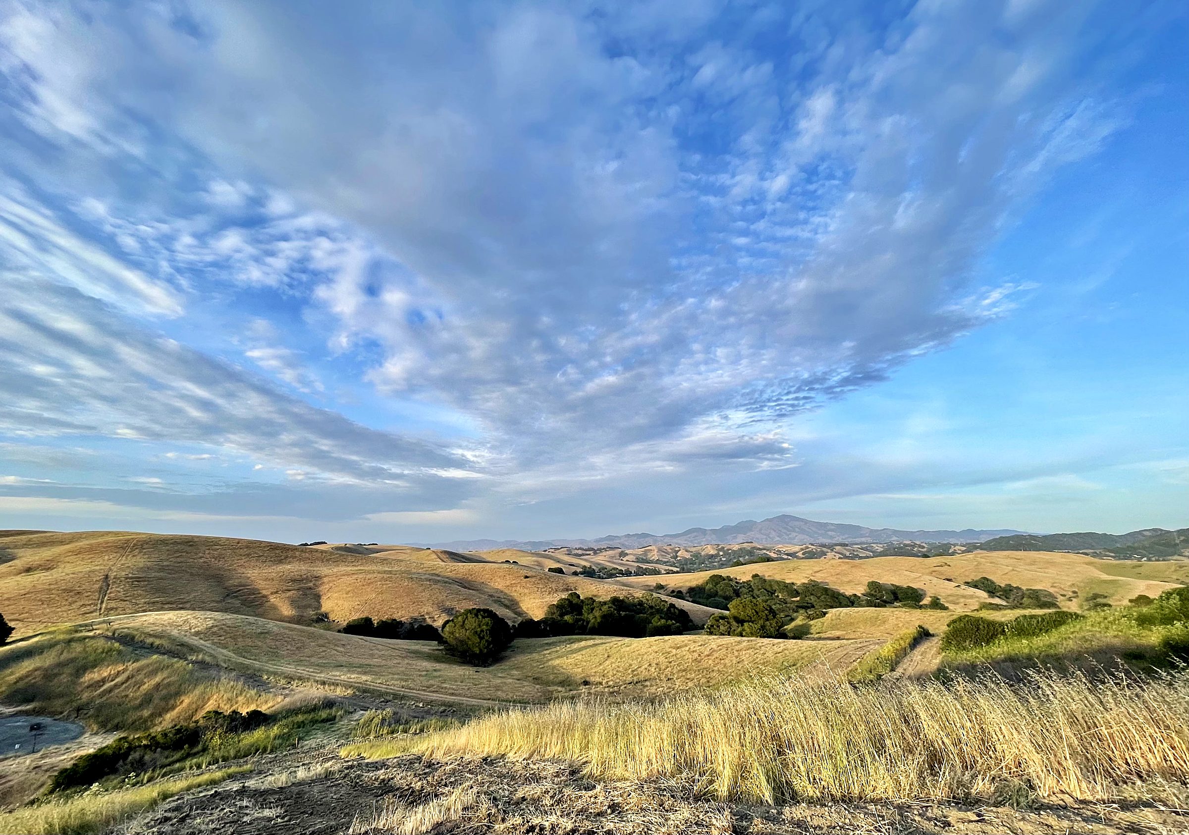 Golden rolling hills of Contra Costa County with Mount Diablo on the horizon